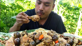 Local giant snail and chicken curry || Northeast mukbang.