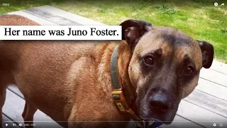 Juno...