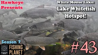 Fishing Planet #43 - S7 | White Moose Lake - Lake Whitefish Hotspot!