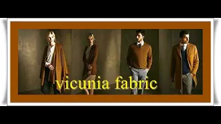 bijan pakzad and vicuna