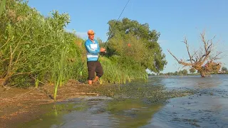 Рыбалка в Астрахани Ловля сазана на жмых Выехали с ночевкой