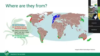 European Green Crab Public Update Webinar | Feb. 28, 2024