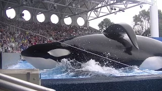 One Ocean with Tilikum (Full Show/Full HD) January 14, 2015 - SeaWorld Orlando