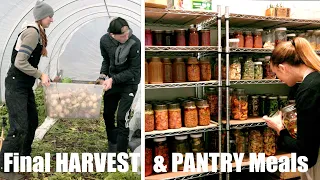 Homestead Pantry Meals + Last Harvest Before the Storm
