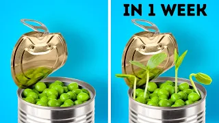 27 PLANT AND GARDEN HACKS || Easy Ways To Grow Seeds And DIY Backyard Upgrades