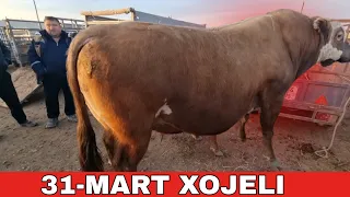 31-МАРТ/ХОЖЕЛИ МАЛ БАЗАРЫ/СКОТНЫЙ РЫНОК/BUQALAR/BIG BULLS IN THE WORLD/BIG COW