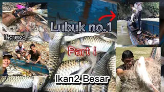 PENUH PERAHU!! Menjala Ikan Semah (Mahseer) di Hulu Sungai Pedalaman