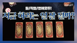 [타로운세] 지금 하고 있는 일 (하려는 일) 잘될까? (일/직업/연애 시작하려고 하는 것 모두!)