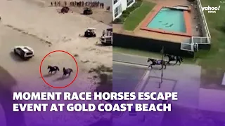 Moment race horses escape event at Gold Coast beach | Yahoo Australia