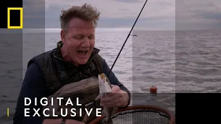 Gordon Goes Fishing With Sharks | Gordon Ramsay: Uncharted S2 | National Geographic UK