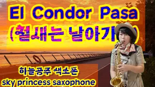 #El condor pasa(#철새는 날아 가고)#Simon and Garfunkel #자유를 향한 잉카인의 염원이 담긴 곡#Sky Princess Saxophone Playing