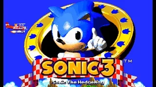[Eng] Sonic The Hedgehog 3 - Mixed Walkthrough (Sega Genesis) [1080p60][EPX+]