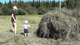 Саранпауль, Приполярный Урал, покосы 2020 год.