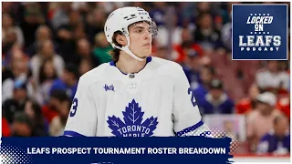 Toronto Maple Leafs prospect tournament roster breakdown, Mike Babcock up to old antics?