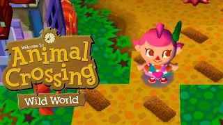 Animal Crossing: Wild World - Laying the Town Paths