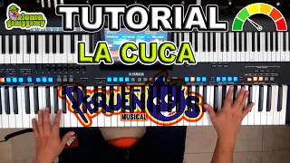 La Cuca: Pequeños Musical / Tutorial: Figuras y Acordes