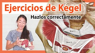 🔴 Ejercicios Kegel para Incontinencias y DEBILIDAD en el Periné 👉 Fisioterapia del piso pélvico