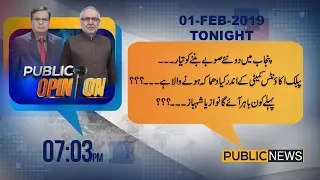 Public Opinion with Muzammil Suharwadi & Muhammad Ali Durrani  | 1 February 2019