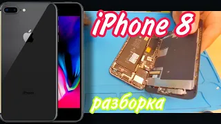 iPhone 8 РАЗБОРКА И ЗАМЕНА ДИСПЛЕЯ ЗА 10 МИНУТ