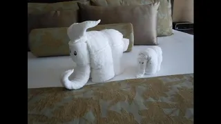 La famille éléphant