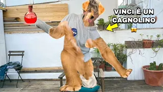 VINCI SI È TRASFORMATO IN UN CAGNOLINO! CHE PAURA!! *mi ha morso*