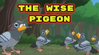 The Wise Pigeon | Panchatantra English Moral Stories For Kids | MahaCartoonTV English