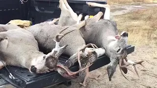 California & Idaho Deer hunt 2017/2018