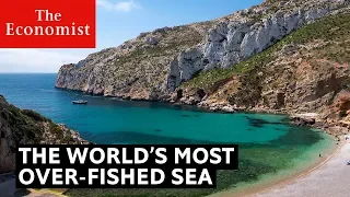 This is the most over-fished sea in the world