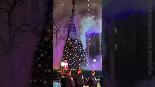 Man arrested for lighting Fox News' Christmas tree on fire in NYC #shorts