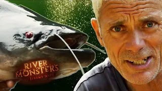 Catching The Malaysian Lake Monster! | River Monsters