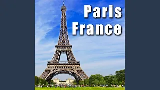 Paris, France, Large Bar or Pub, Medium Crowd Ambience, Cheering Reactions During Soccer Game