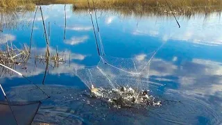 Я ЕЛЕ ПОДНЯЛ ПАУК ИЗ ВОДЫ! БОЛОТО ПОЛНОЕ РЫБЫ! Рыбалка на паук. Рыбалка 2022