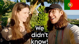 Learning the truth about bananas in Ponta do Sol, Madeira! | Evan Edinger Travel Vlog