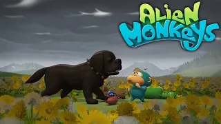 Exciting and Wacky Show for Kids! | Alien Monkeys (10-Minute Cartoon for Kids!)