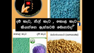 Common name of inorganic fertilizer(keta pohora) 🌱🌱 . Krushi Lanka