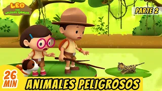 Animales Peligrosos Episodio Compilación [Parte 2/2] (Español) - Leo, El Explorador | Animación