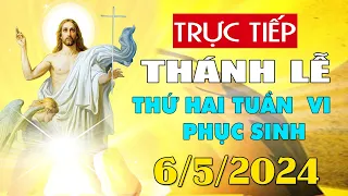 Thánh lễ trực tuyến hôm nay 4:00:AM Thứ Hai ngày 6/5/2024 - Trực tiếp Thánh lễ hôm nay | TLTT