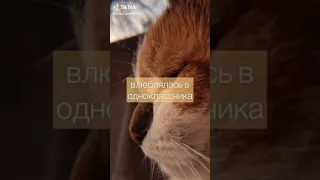 🔥пой эту песню если ты....