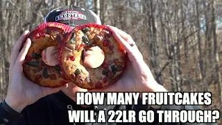 HOW MANY FRUITCAKES WILL A 22LR GO THROUGH?