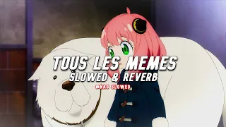 Stromae - Tous les Mêmes (slowed & reverb) / TikTok Version