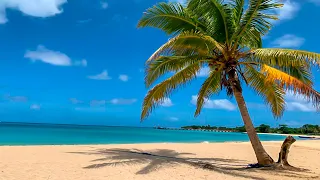 Así de hermoso😍 es Corn Island🌴 | Caribe Sur Nicaragua 🇳🇮