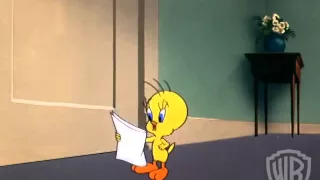 Looney Tunes Super Stars Tweety and Sylvester    Admirer