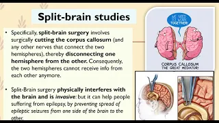 Hemispheric Specialisation and Split-Brain Experiments (Unit 1 Psychology)