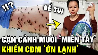 Ớn lạnh vì cảnh 'MUỖI BAY THÀNH ĐÀN', cô gái liền nghe theo lời cđm và cái kết cực Chill | TB Trends