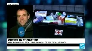 Ukraine: President Yanukovych on sick leave in midst of political crisis