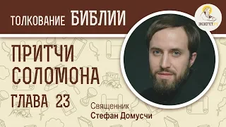 Притчи Соломона. Глава 23. Священник Стефан Домусчи. Толкование Библии. Толкование Ветхого Завета