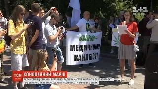 Під ВР активісти вимагали легалізувати медичний канабіс в Україні