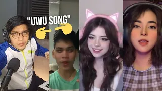 Sean Al X Ch4knu, Hannah uwu & Aj Raval - Uwu Song Remix