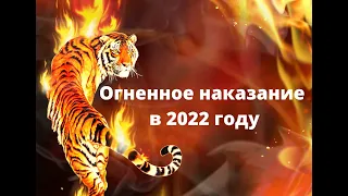 Огненное наказание в 2022 году Тигра