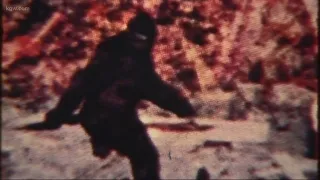 Sunrise Rewind: The Search for Sasquatch